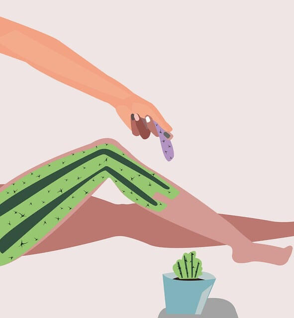 Body waxing to the root, cartoon image of a leg like a cactus blog